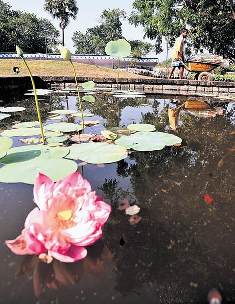 A worker pushes a cart laden with plants as part of the final preparation for ‘Vasantholsavam’