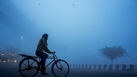 A man rides a bicycle amid dense fog on a winter morning, at Mayur Vihar area, in New Delhi, 