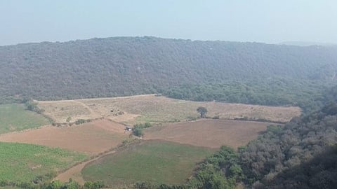 Centre committed to keeping Aravalli safe: Union environment minister Bhupender Yadav