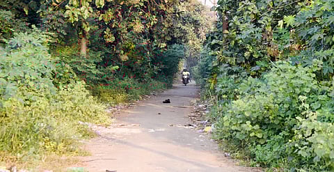 A view of the narrow road near the Senthaneerpuram bridge that commuters want the Tiruchy Corporation to inspect as a possible link to the Tiruchy-Madurai National Highway to ease traffic congestion at the Palpannai signal.