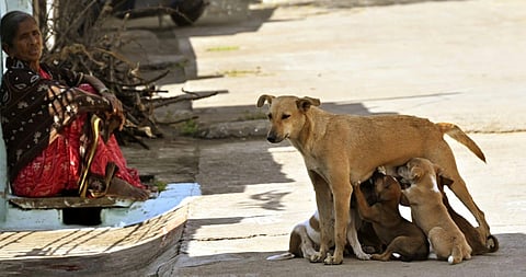 Representative Image