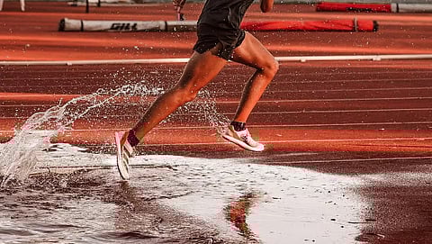 IMAGE USED FOR REPRESENTATION