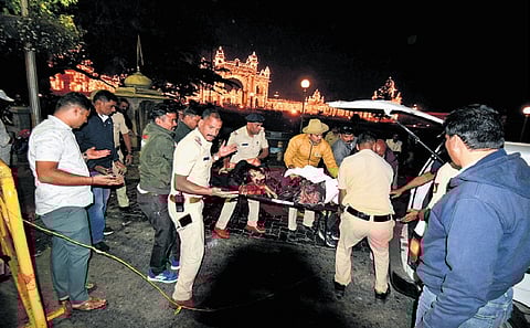 Injured people being shifted to hospitals in Mysuru on Thursday 