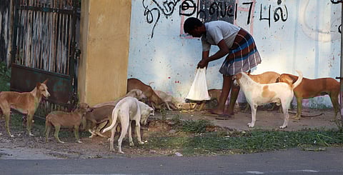 Just 28 locations cannot adequately serve nearly 38,000 dogs spread across multiple zones and neighbourhoods.