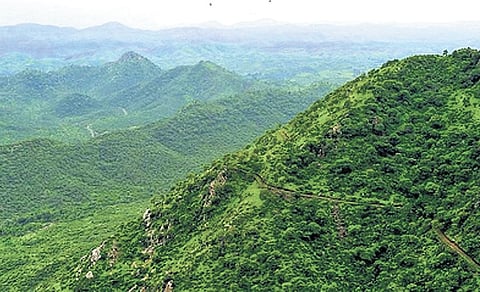 ‘Save Aravalli, Save Life’ drive gains currency in Rajasthan