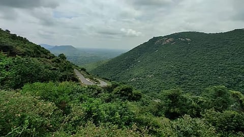 The roads to Vathalmalai have 23 hairpin bends and in most areas retaining walls have been built to ensure safety.
