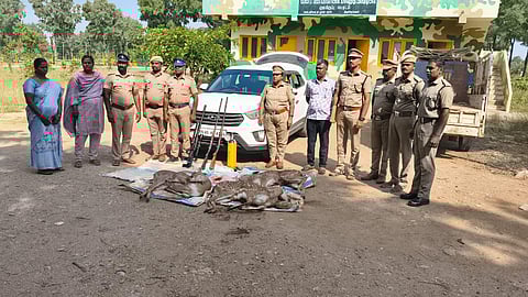 On inspection, the police found the carcasses of three spotted deer in the car’s boot along with two country-made guns and two cartridges.