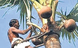 With admissions expected to start as early as February next year, the course will combine both theoretical and practical knowledge with the help of qualified faculty and trained experts. 