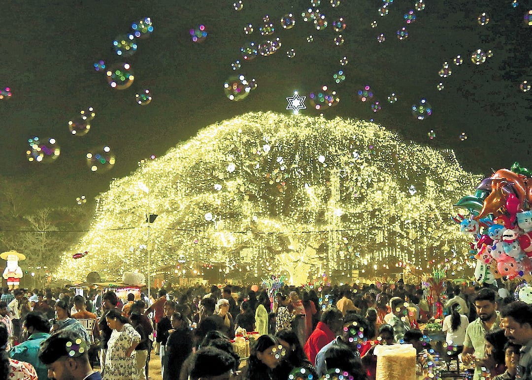 Viral Christmas tree in Kochi attracts visitors from afar