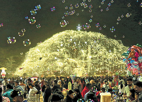 Thousands throng the Veli Ground to witness the lighting of the iconic 200-year-old rain tree in Fort Kochi with, stars, baubles and a large neon star.