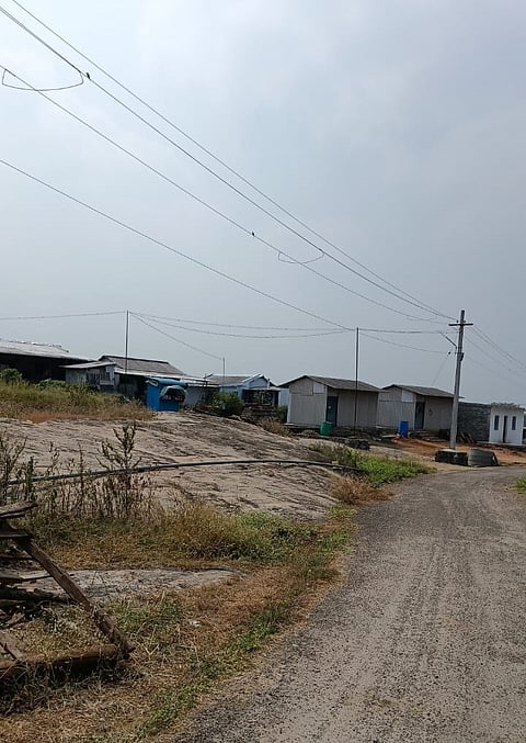 The people at Mayilamparai hamlet in Madukkarai Taluk of Coimbatore are residing without electricity connections.