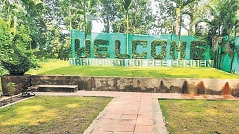 Facelift for Daringbadi coffee garden 
to boost tourism in Kandhamal district