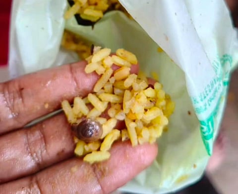 Visuals shared by devotees claiming snail in Simhachalam Pulihara Prasadam