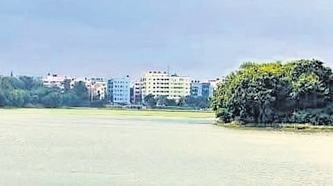 The Chief Commissioner instructed the officers concerned to coordinate with the tourism department to develop lakes as public attractions while preserving their ecological balance. 