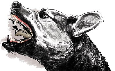 The incident occurred in the morning when residents were engaged in their routine activities. 