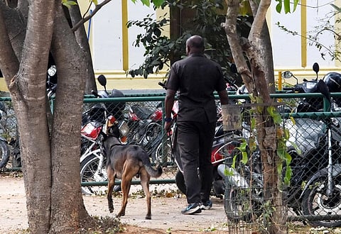 Image used for representational purposes only.