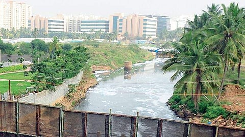 Varthur lake