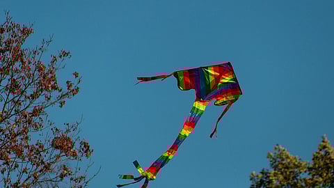 Up, Up, Hurrah: The Great Indian Kite Festival to be held on January 11 