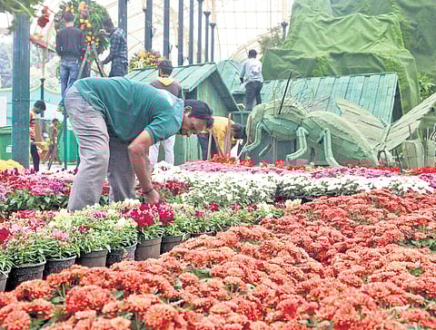 Flower arrangements and environment-themed installations being readied for the 219th Republic Day Flower Show at Lalbagh in Bengaluru on Monday.