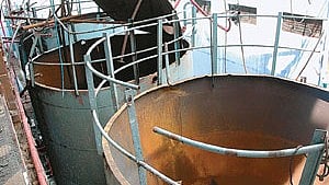 Image used for representative purpose.