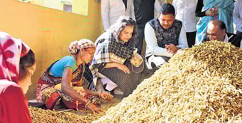 Chief secretary Anu Garg at the turmeric processing plant in Phiringia 