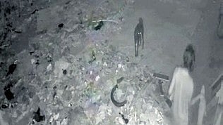 Activists who approached the agency claimed that its staff admitted to lapses in conducting proper background checks before recruiting and deploying drivers at partner establishments.