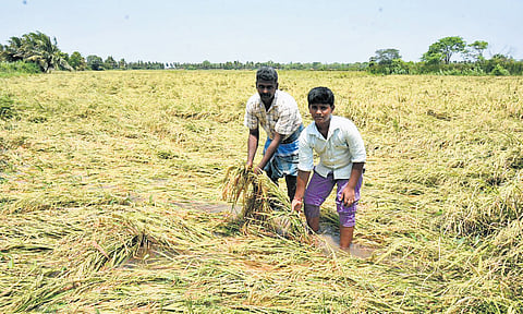 Relief amount will be directly credited to bank accounts of farmers in 38 districts, 
a release said.