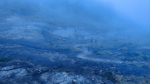 Agasthyarkoodam trek