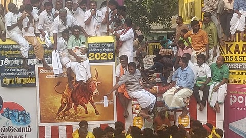 A total of 1,100 bulls and 550 tamers are to take part in the Alanganallur Jallikattu event on Saturday.