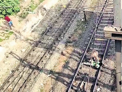 The  drunk man creating a scene on the railway tracks in Bhubaneswar on Sunday