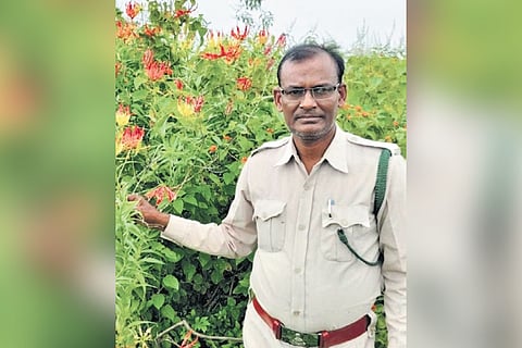 Jagdish Prasad Ahirwar, who has clicked several pictures of medicinal plants