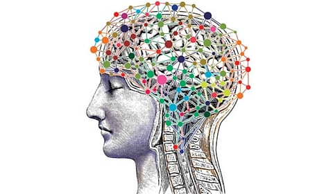 Study aims to look at the growth and development of the human brain from the fetal stage.