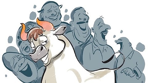 As bulls charged out of the vadivasal on January 16, the announcer rattled off names like Lilliput, Taurus, Cirius and Seepan.