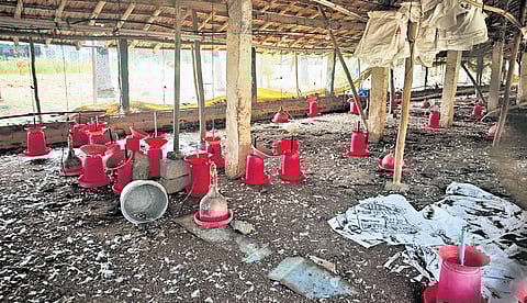 Farmers, part of Tamilaga Vivasayigal Pathukappu Sangam, have been on strike since January 1 demanding a revision of chicken rearing rates 