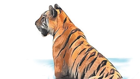 While the census is usually carried out in the Kawal Tiger Reserve, this time it has been extended to forest corridors.