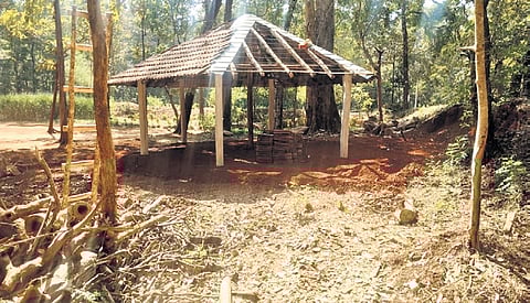 The pergola that has come up inside the Kali Tiger Reserve.
