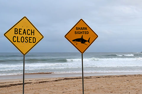 Signs for the temporary closure of a beach due to the sighting of sharks 