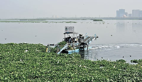 The Delhi government set a 2028 deadline to connect all 1,799 unauthorised colonies to the sewerage network.