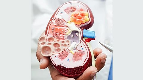 The woman said her family was facing severe financial difficulties and that she was assured of a large payment and care for her family if she agreed to donate a kidney. 