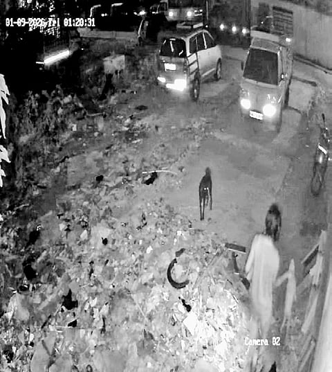 CCTV footage shows Nepal Kiran killing the puppy in JP Nagar 