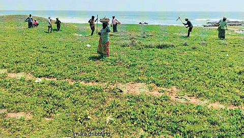 The programme, launched under the leadership of Deputy Chief Minister K Pawan Kalyan, is also being implemented in the Visakhapatnam Circle, which comprises the coastal districts of Visakhapatnam, Anakapalle, Vizianagaram and Srikakulam.