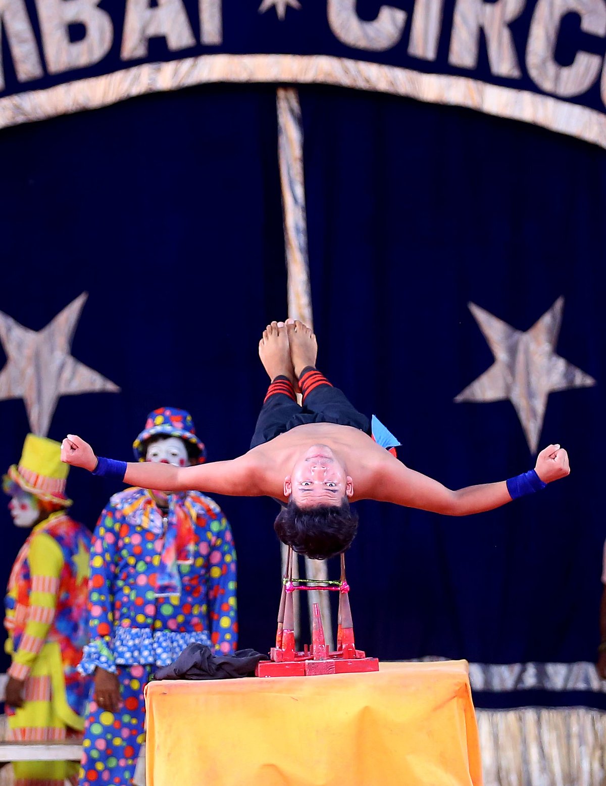 Amid the circus called life