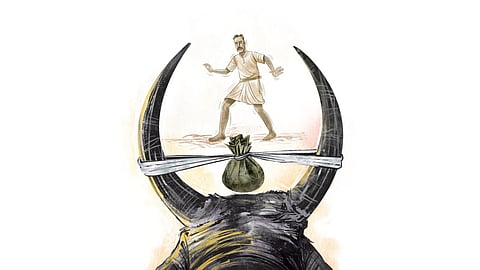 jallikattu