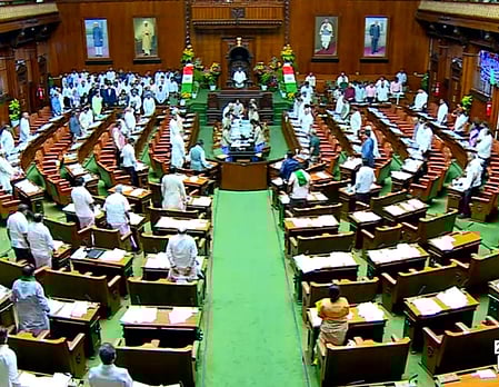 Karnataka legislative assembly used for representative purpose.