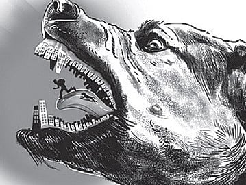 Image used for representation