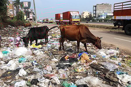 Pollution is emerging as a pressing cause for concern in Dharmapuri