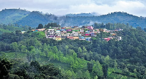 The AAG informed that 920 show cause notices were issued against tourist accommodations in the Nilgiris and final orders were passed in 844 cases, while 76 have been sealed.