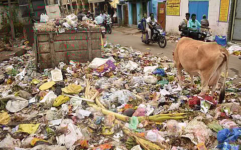 In a bid to improve its standing in the upcoming survey, the corporation has launched initiatives, including night-time cleaning drives, GPS-tracked garbage vehicles, and enhanced monitoring.