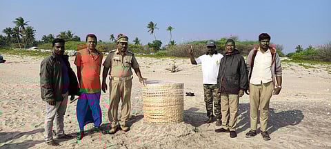 Forest department's pilot in-situ conservation of Olive Ridley nests under way in Nagapattinam