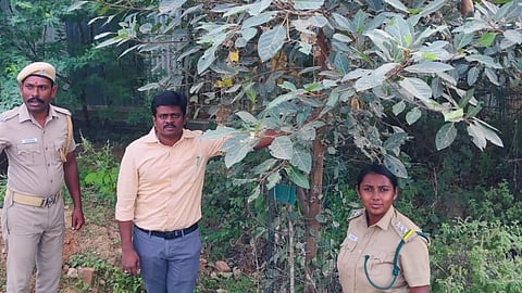 Police personnel during the drive to plant the saplings on the temple land in Chettiapathu village near Udangudi.